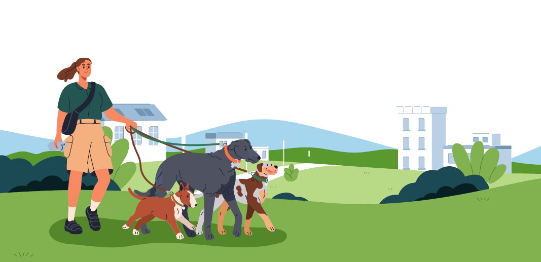 Image of a woman walking 3 dogs as her side hustle.